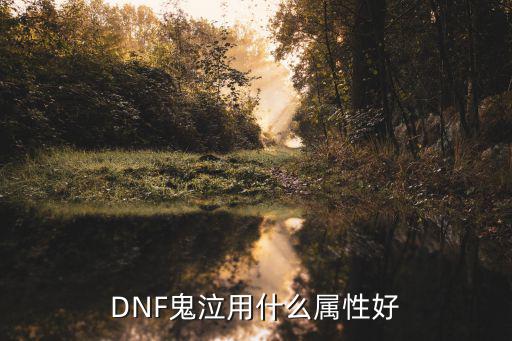 DNF鬼泣用什么属性好