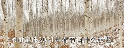 dnf宝珠2021年春节有什么属性