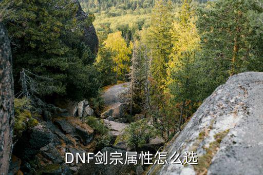 DNF剑宗属性怎么选