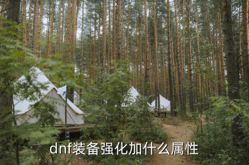 dnf装备强化加什么属性