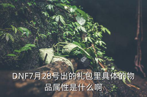 DNF7月28号出的礼包里具体的物品属性是什么啊