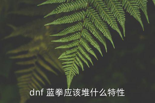 dnf 蓝拳应该堆什么特性