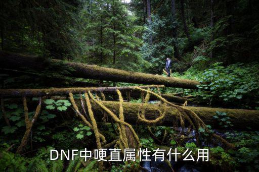 DNF中哽直属性有什么用