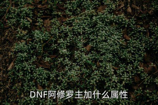 DNF阿修罗主加什么属性