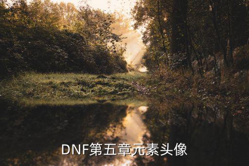 dnf像素头像什么属性，DNF全职业觉醒头像