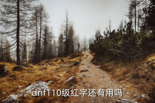 dnf110级红字还有用吗