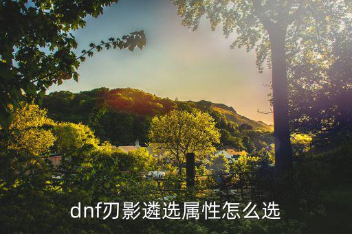 dnf刃影遴选属性怎么选