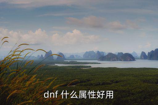 dnf 什么属性好用