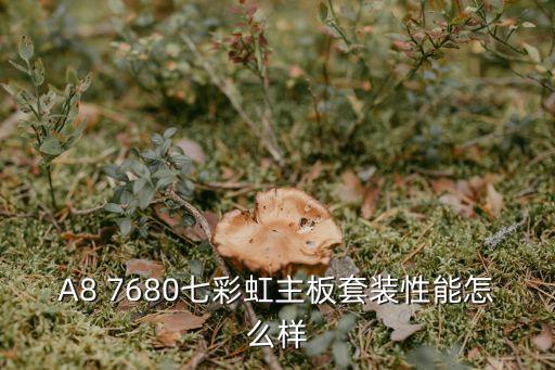 A8 7680七彩虹主板套装性能怎么样