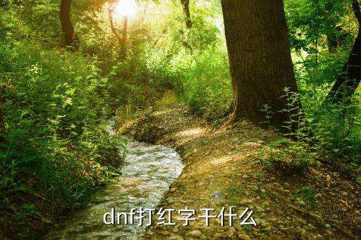 dnf打红字干什么