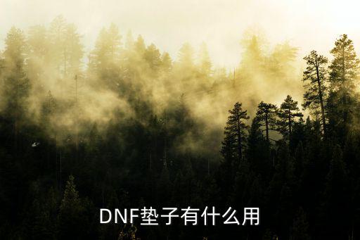 DNF垫子有什么用