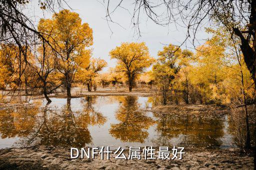 DNF什么属性最好