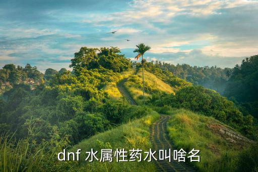 dnf什么可以水属性，dnf 水属性药水叫啥名