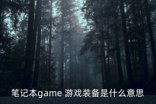 笔记本game 游戏装备是什么意思