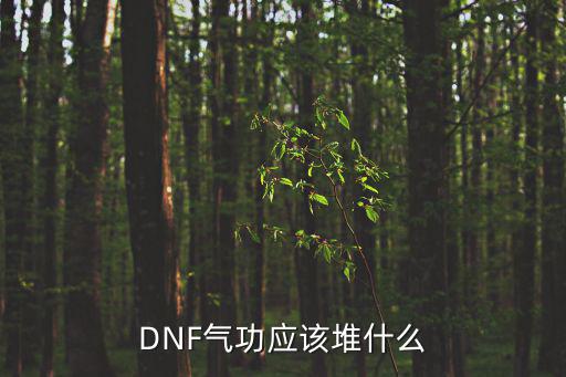 dnf健身堆什么属性，DNF 力量 体力 分别加什么属性