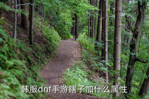 dnf瞎子该加什么属性，DNF瞎子堆什么属性强化