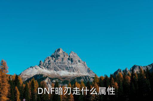 DNF暗刃走什么属性