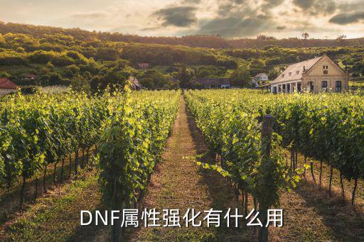 DNF属性强化有什么用