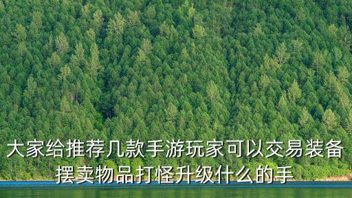 大家给推荐几款手游玩家可以交易装备摆卖物品打怪升级什么的手