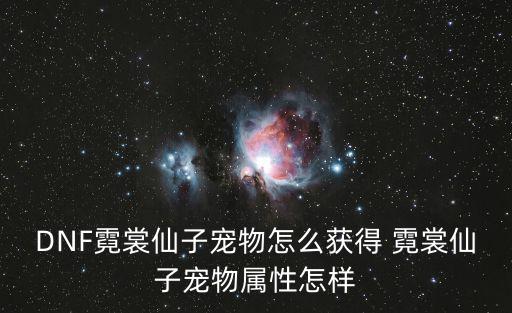 DNF霓裳仙子宠物怎么获得 霓裳仙子宠物属性怎样