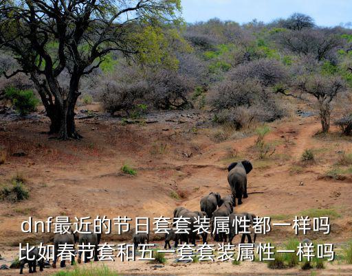 dnf最近的节日套套装属性都一样吗比如春节套和五一套套装属性一样吗