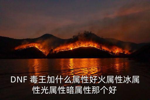 DNF 毒王加什么属性好火属性冰属性光属性暗属性那个好