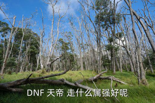 DNF 天帝 走什么属强好呢