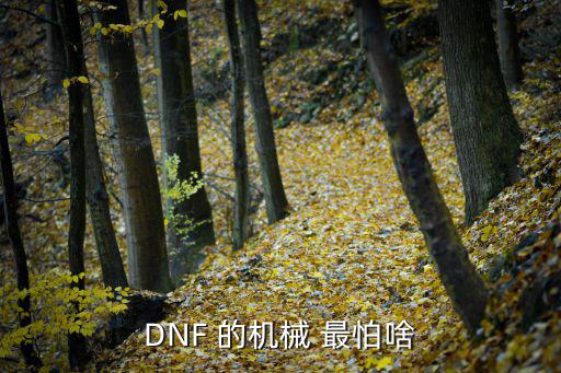 DNF 的机械 最怕啥