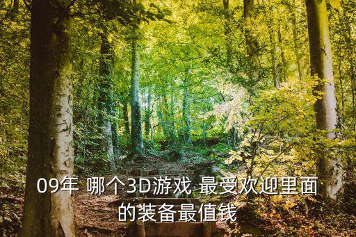 09年 哪个3D游戏 最受欢迎里面的装备最值钱