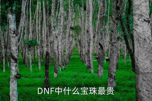 DNF中什么宝珠最贵