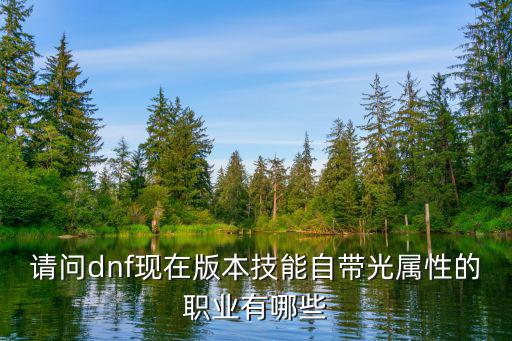 请问dnf现在版本技能自带光属性的职业有哪些