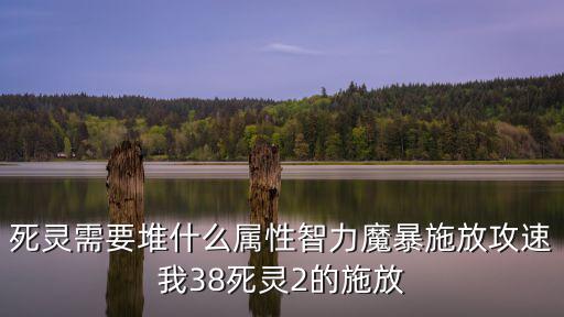 死灵需要堆什么属性智力魔暴施放攻速我38死灵2的施放