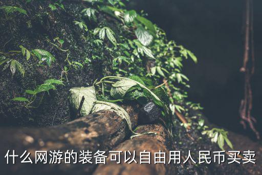 什么网游的装备可以自由用人民币买卖