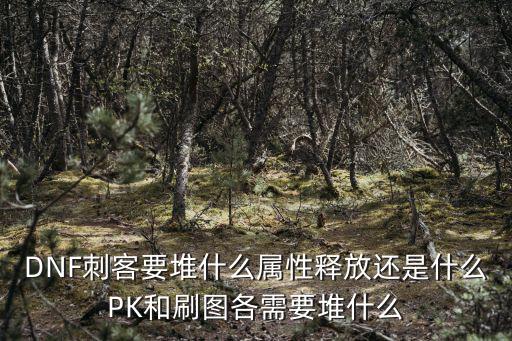 DNF刺客要堆什么属性释放还是什么PK和刷图各需要堆什么