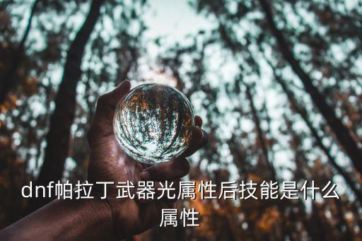 dnf帕拉丁武器光属性后技能是什么属性