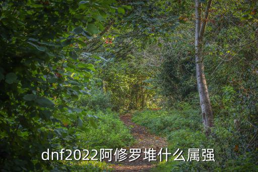 dnf2022阿修罗堆什么属强