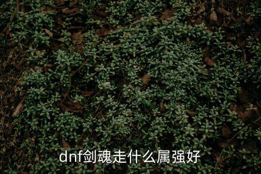 dnf剑魂走什么属强好