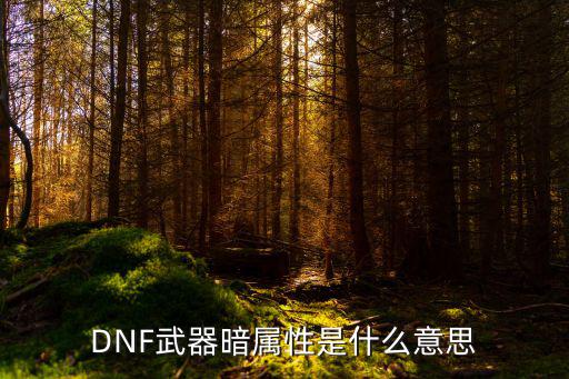 Dnf暗属性发什么属性，DNF中的暗属性指的是什么