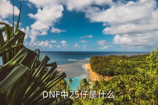 DNF中25仔是什么