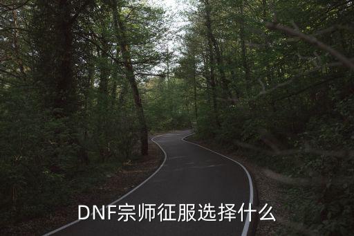 DNF宗师征服选择什么