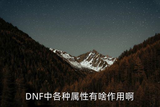 DNF中各种属性有啥作用啊