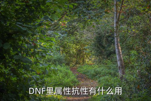 DNF里属性抗性有什么用