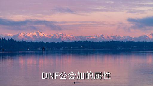 DNF公会加的属性