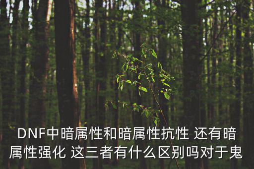 DNF中暗属性和暗属性抗性 还有暗属性强化 这三者有什么区别吗对于鬼