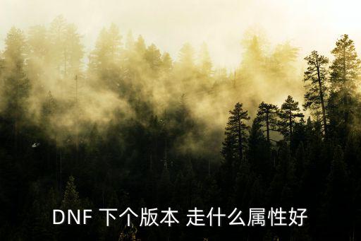 DNF 下个版本 走什么属性好