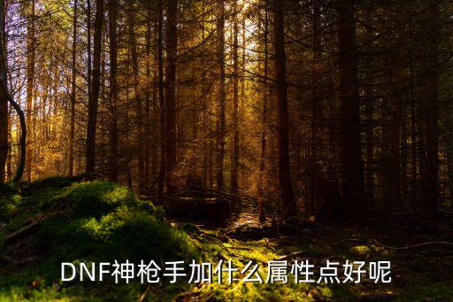 DNF神枪手加什么属性点好呢