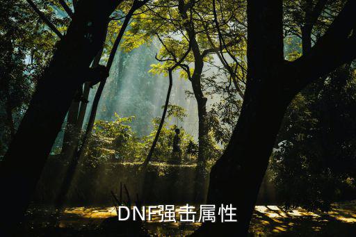 DNF强击属性