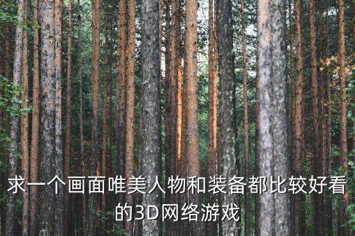 求一个画面唯美人物和装备都比较好看的3D网络游戏