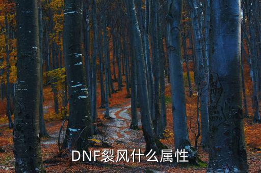 DNF裂风什么属性