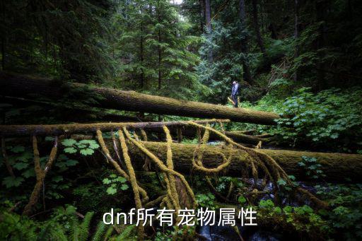 dnf宠物有什么属性，求DNF所有宠物的属性